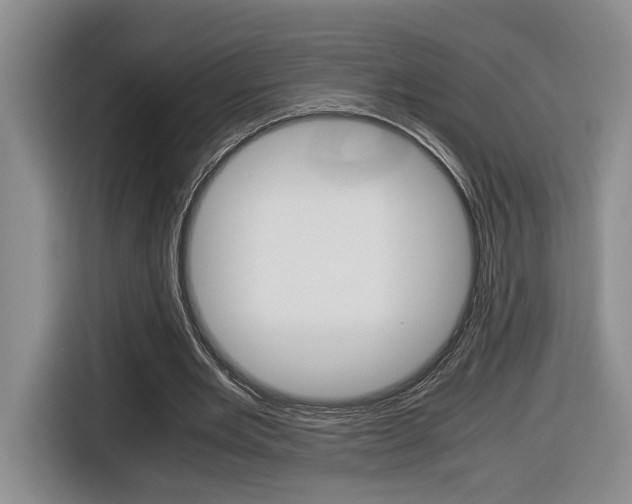 X0000116680485200912141008