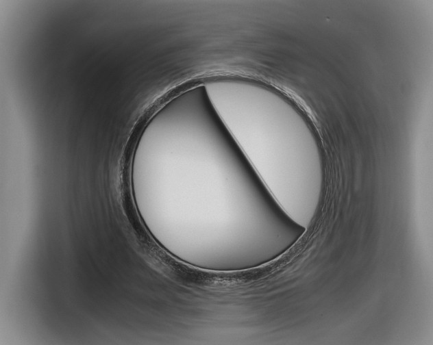 X0000116680487200912141008