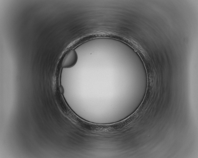 X0000116680488200912141008
