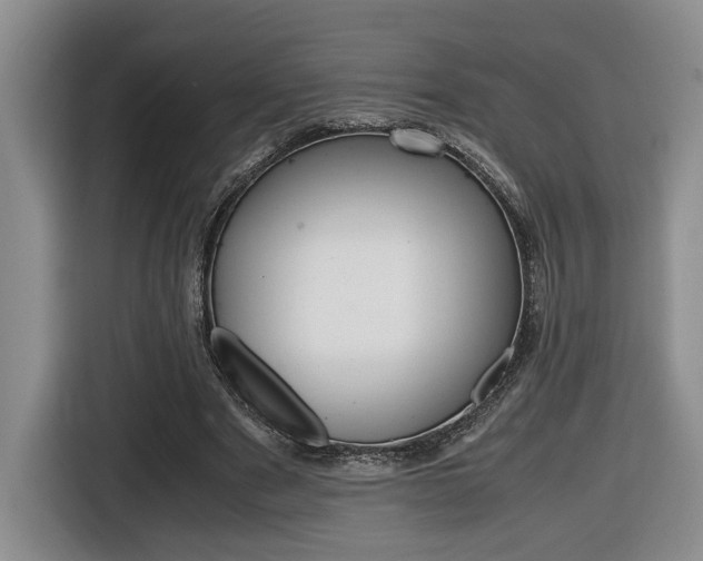 X0000116680489200912141008