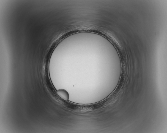 X0000116680491200912141008