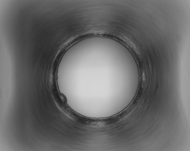 X0000116680492200912141008