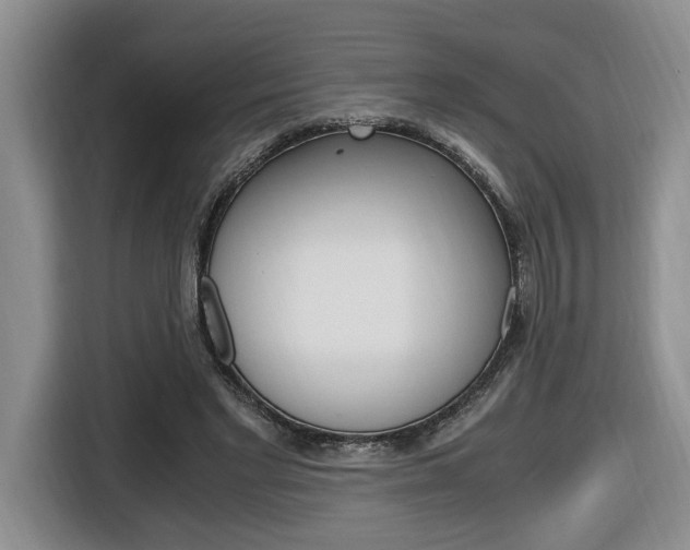 X0000116680493200912141008