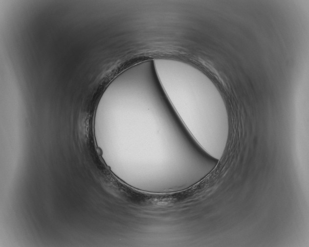 X0000116680495200912141008