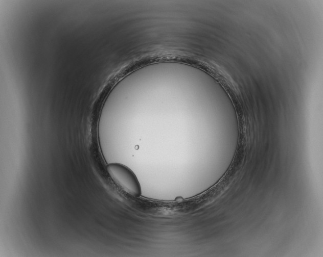 X0000116680496200912141008