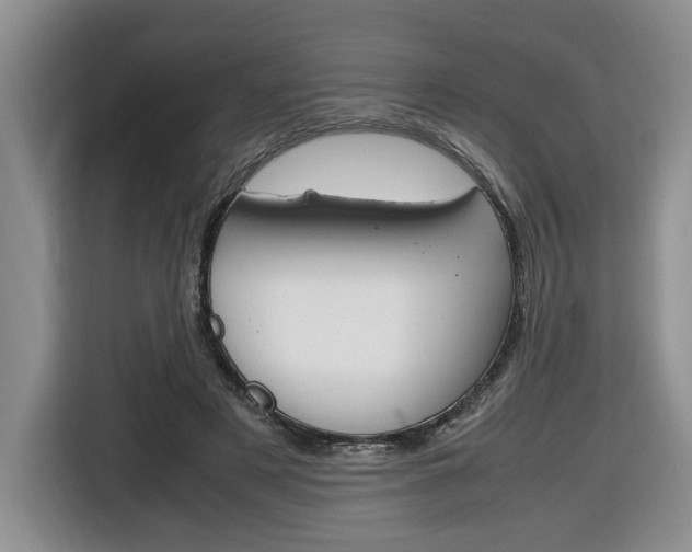 X0000116680497200912141008