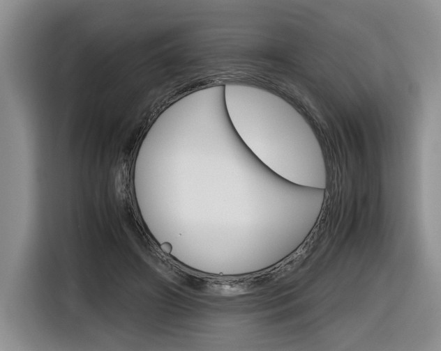 X0000116680498200912141008