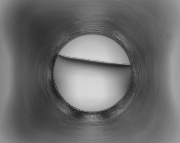 X0000116680499200912141008