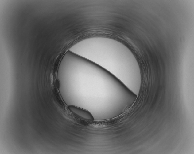 X0000116680500200912141008