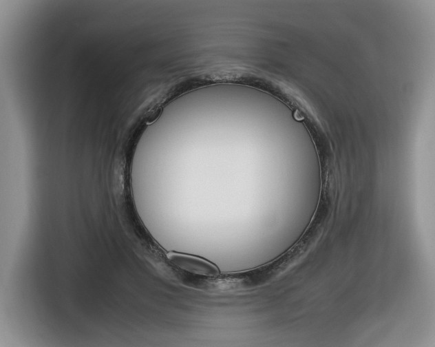 X0000116680501200912141008