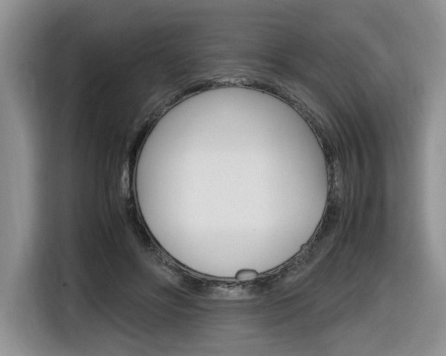 X0000116680502200912141008