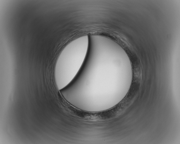 X0000116680503200912141008