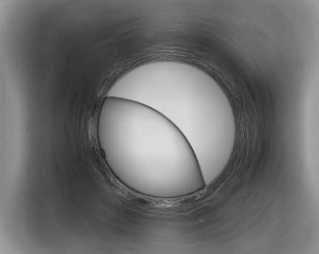 X0000116680504200912141008