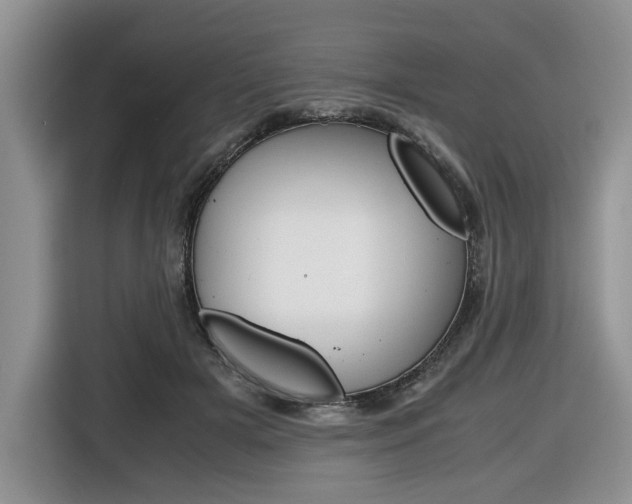 X0000116680505200912141008