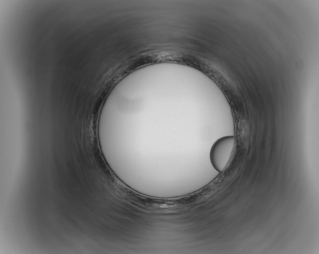 X0000116680506200912141008