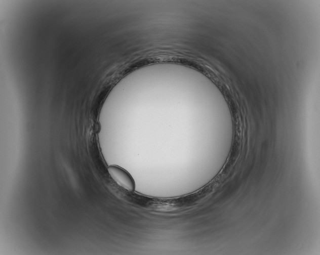 X0000116680507200912141008