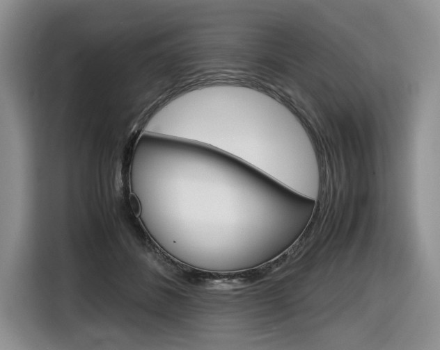 X0000116680508200912141008