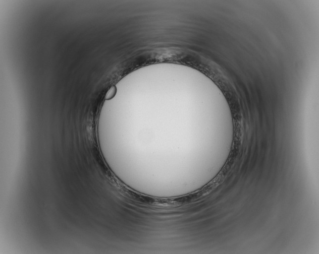 X0000116680510200912141008