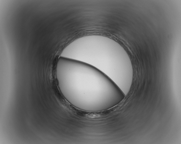 X0000116680512200912141008