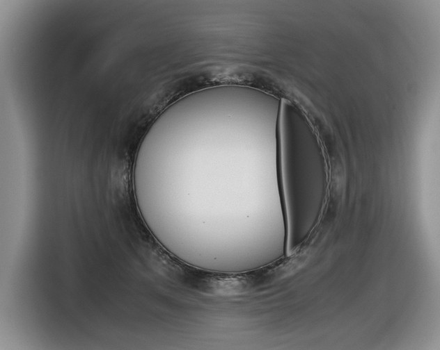 X0000116680513200912141008