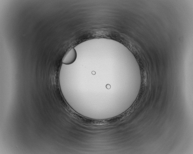 X0000116680514200912141008