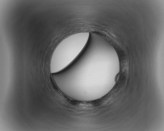 X0000116680515200912141008