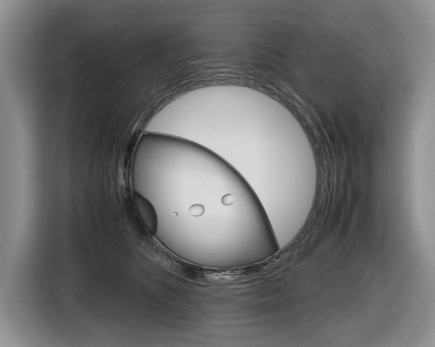 X0000116680516200912141008