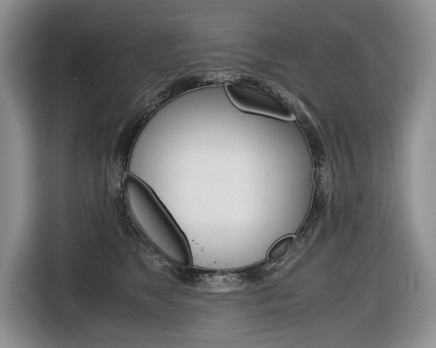 X0000116680517200912141008