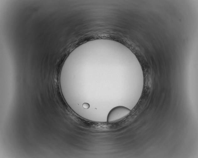 X0000116680518200912141008