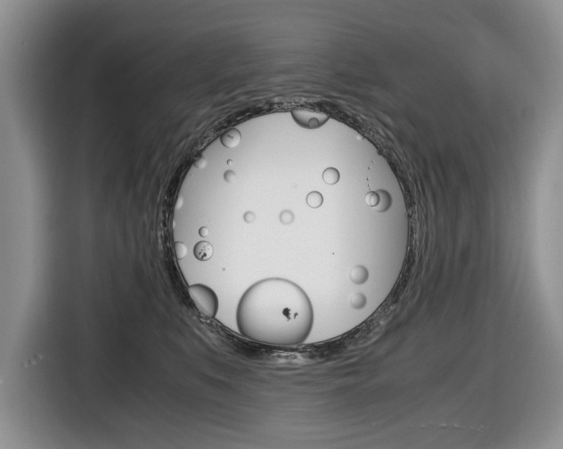 X0000116680519200912141008