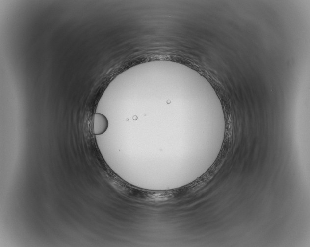 X0000116680522200912141008