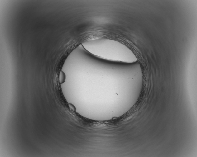X0000116680523200912141008