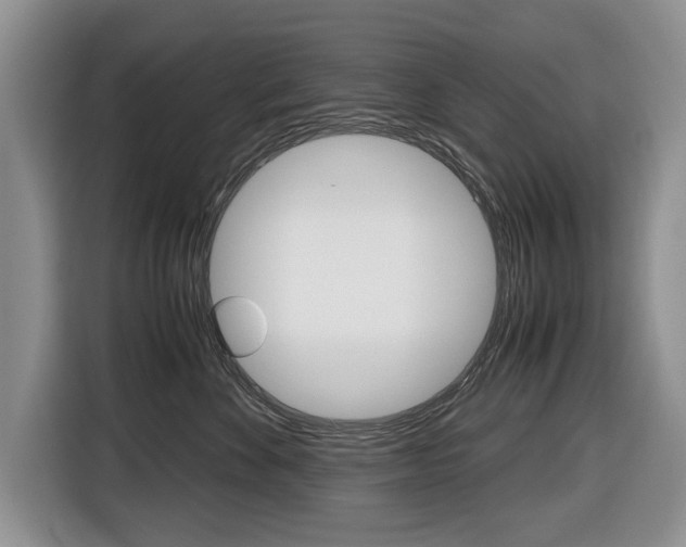 X0000116680524200912141008