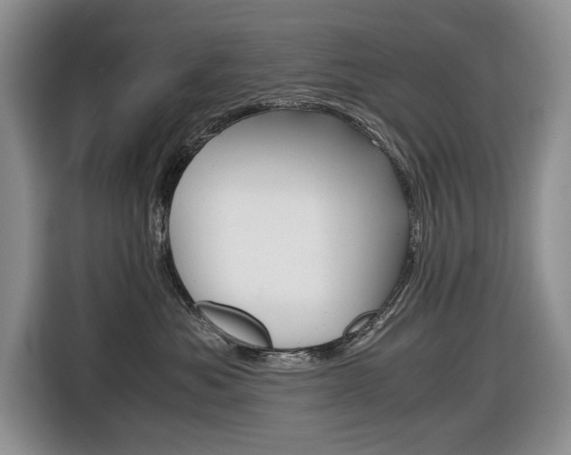 X0000116680525200912141008