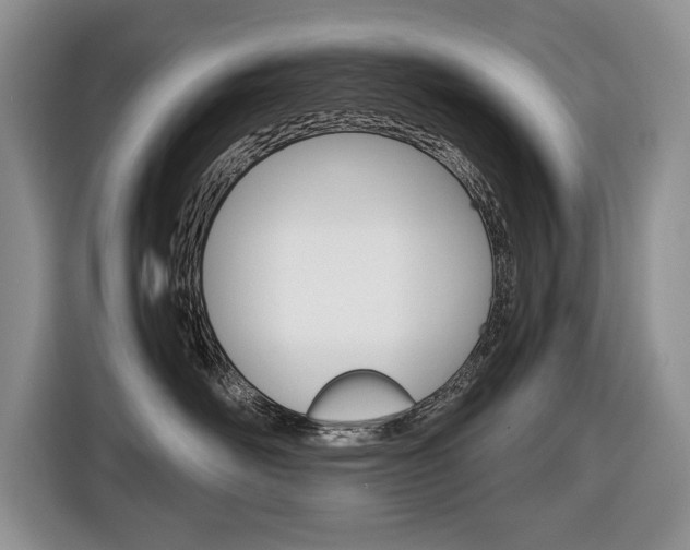 X0000116680526200912141008