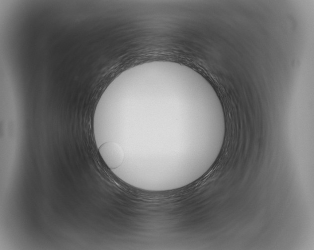 X0000116680528200912141008