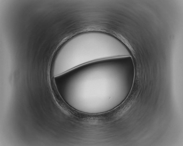 X0000116680530200912141007