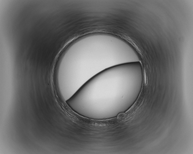X0000116680531200912141007
