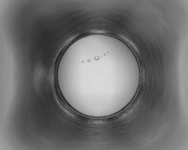 X0000116680533200912141007