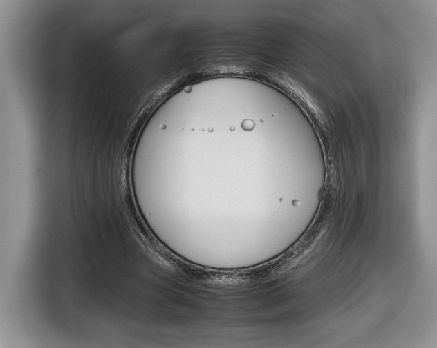X0000116680537200912141007