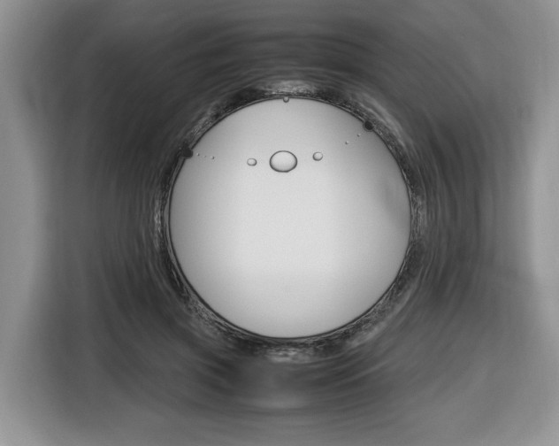 X0000116680549200912141007
