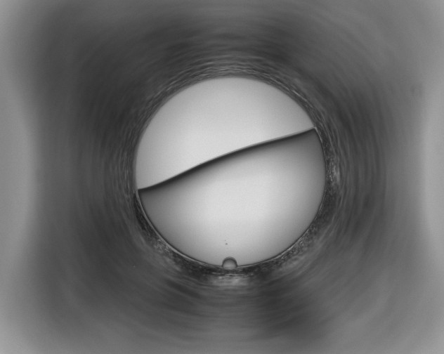 X0000116680551200912141007
