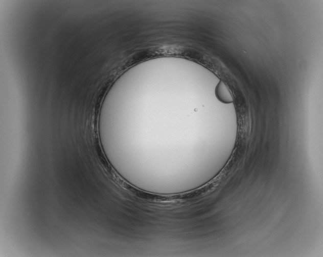 X0000116680553200912141007