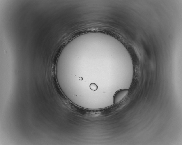 X0000116680554200912141007