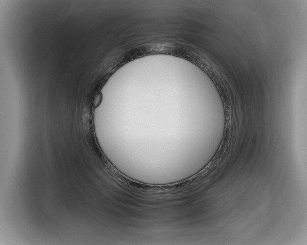 X0000116680557200912141007