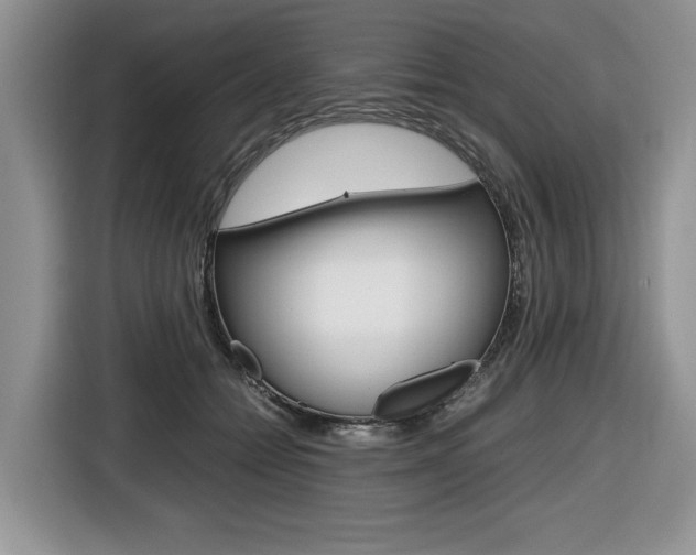 X0000116680558200912141007