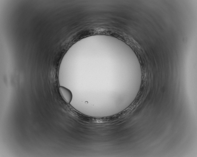 X0000116680565200912141007