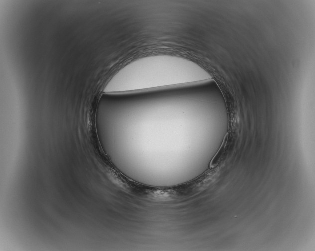 X0000116680566200912141007