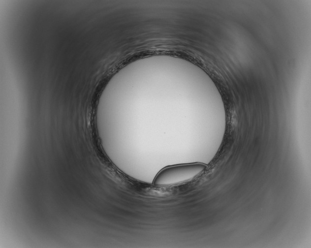 X0000116680567200912141007