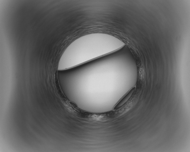 X0000116680570200912141008